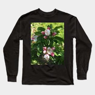 Abundant Apple Blossoms Long Sleeve T-Shirt